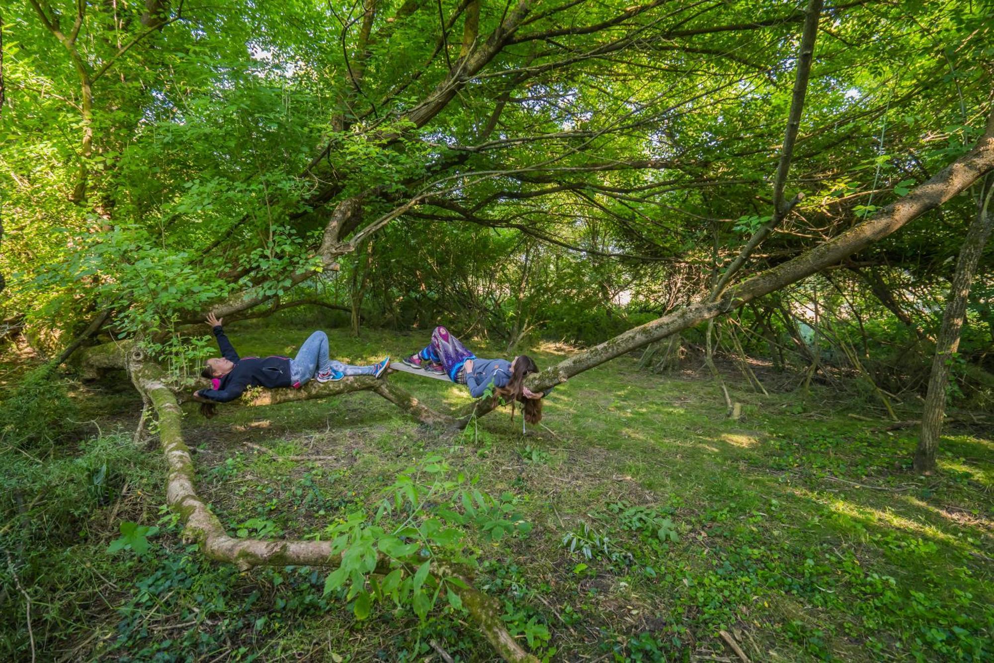 Szellos Ret Camping * Balvanyos