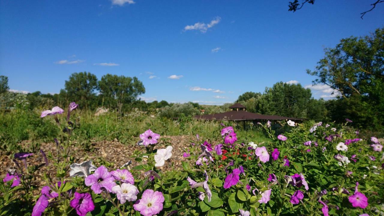 Szellos Ret Camping Campsite