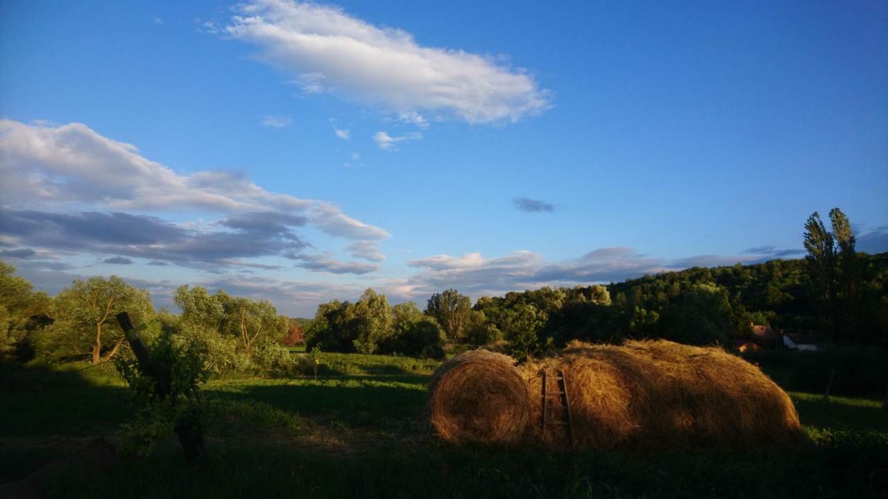 Szellos Ret *